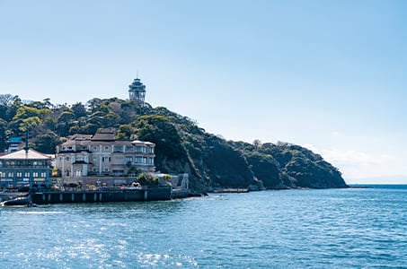 ≪新千歳空港発着≫房総・三浦・伊豆　15の旅情と名物料理に出会う　感動の三大半島大周遊　4日間　南伊豆町観光協会の助成金を適用のコース！3