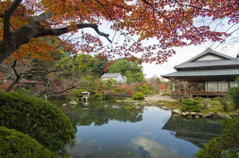 【博多発】唐戸市場の寿司屋台”活きいき馬関街”と長府２つの晩秋めぐり 日帰り　2