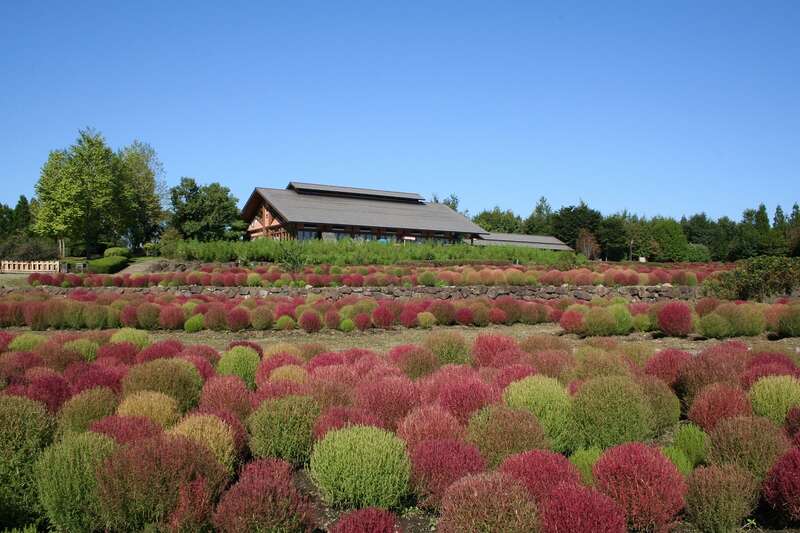 【新青森駅発】 国営みちのく杜の湖畔公園と松島洗心庵で三陸海の幸膳の昼食　日帰り1