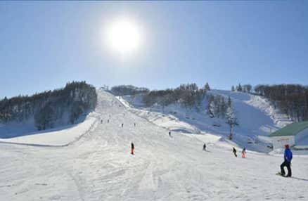 「旅せよ平日！キャンペーン」【往復新幹線指定席で行く】ガーラ湯沢 2泊3日【リフト2日券付】【夕食・翌朝食付】