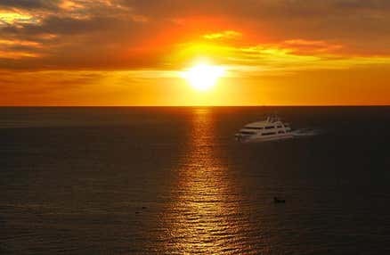 ★催行決定★[新宿発]先着35名様限定|足元ゆったり楽々シートでワンランク上の旅!!≪初日の出/新春日帰りツアー≫新春♪初日の出クルーズ＆富士山本宮浅間大社へ参拝、太平洋を望むスパで心身ともに温まる日帰りバスツアー