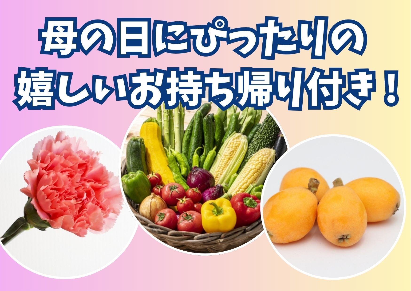 【バスハイク／添乗員同行／福岡(天神)発】 母の日に贈る癒しの一日 ポピーとバラの競演＆人気の抹茶挽き体験 嬉しい３つのお土産付き！ ①旬のビワ ②感謝を込めてカーネーション ③嬉しい野菜約500g3