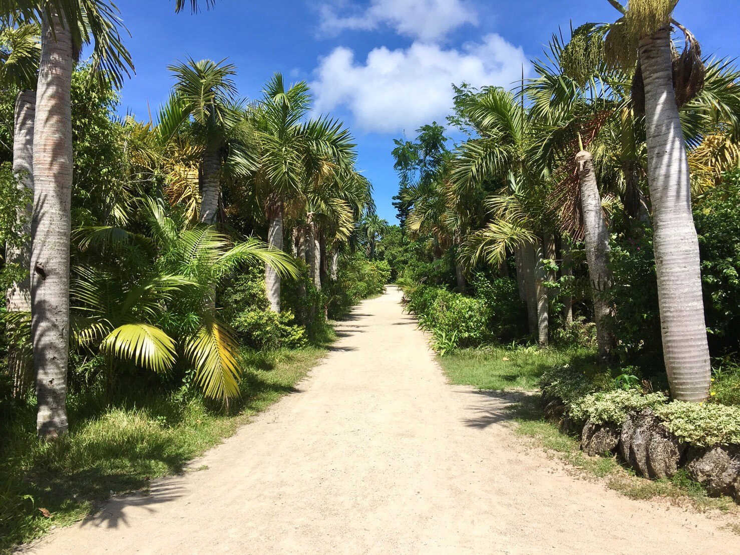 【茨城県内発】 石垣島・竹富島・西表島・由布島　八重山諸島４島めぐり３日間3