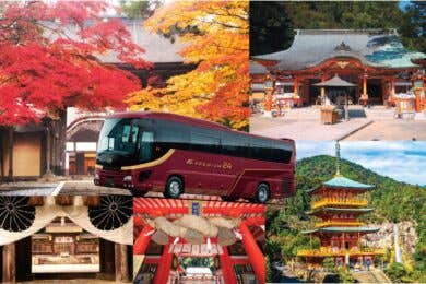 【広島駅新幹線口・福山駅北口（福山SA送迎）・福山SA発着】プレミアムバスで行く 紅葉の南紀と熊野三山３日間 秘境の名湯・龍神温泉と 太平洋と白良浜の絶景を望む宿