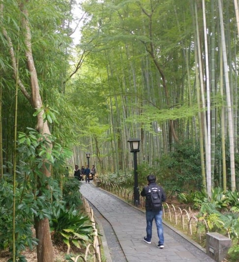 体験型イルミ伊豆高原「グランイルミ」と修善寺散策2