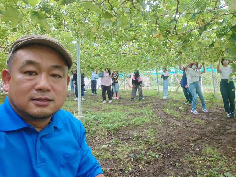 【柳川・みやま・羽犬塚・西鉄久留米発】 安心院シャインマスカット２房狩り（種あり）と味一ねぎしゃぶ＆御鎮座1300年宇佐神宮団体祈願祭　日帰り　3