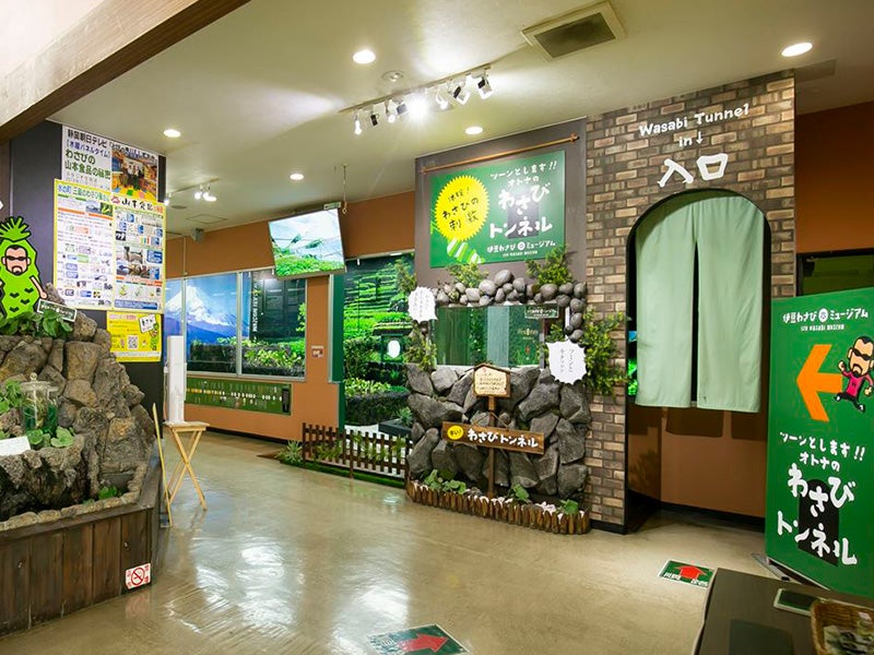 【新宿発】海鮮！明太子！わさび！静岡うまいもの巡り♪『沼津港🌊』＆めんたいパーク・わさびミュージアムと開運『三嶋大社』⛩日帰り旅バスツアー3