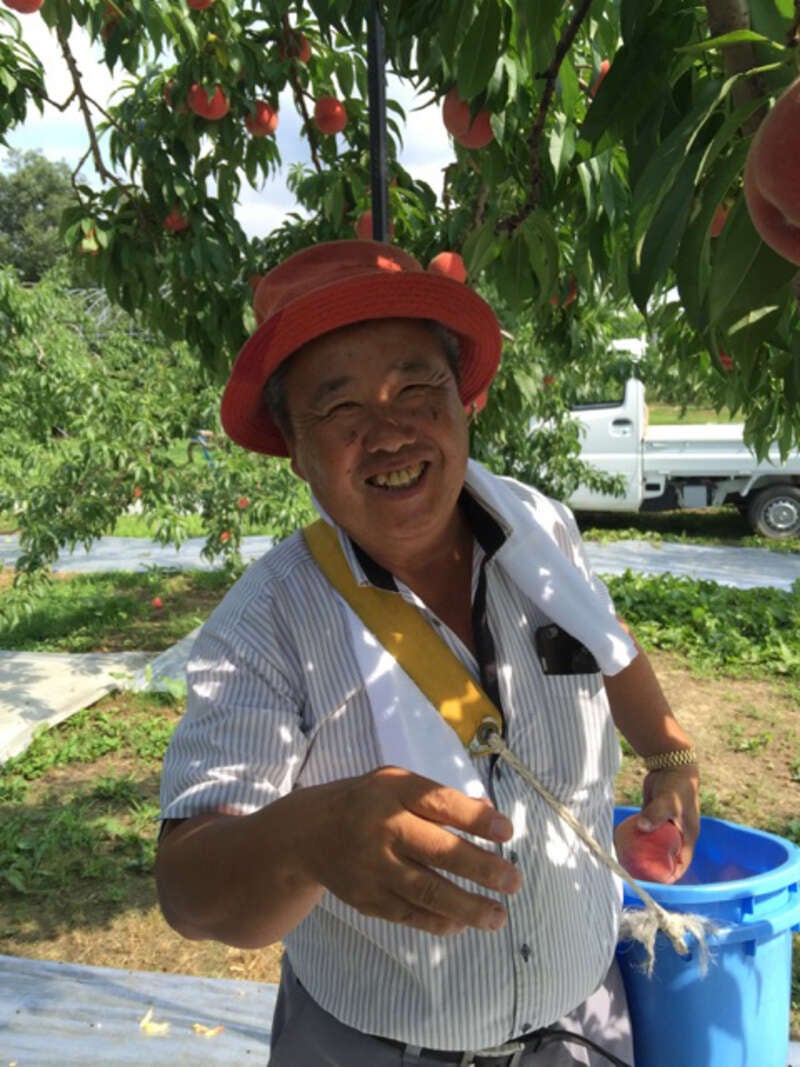 【浜通り発】 福島黄金桃狩りと布引高原ひまわり畑 日本大学工学部24時間テレビ福島メイン会場へ！（日帰り）2