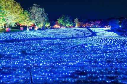 【岩手県内発】 やくらいガーデン星あかりと仙台泉プレミアム・アウトレット　日帰り