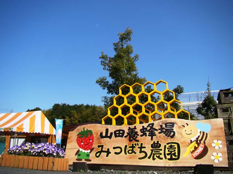 【兵庫県内発】 山田養蜂場ではちみつ食べ放題♪衆楽園散策とオルゴール夢館　日帰り1