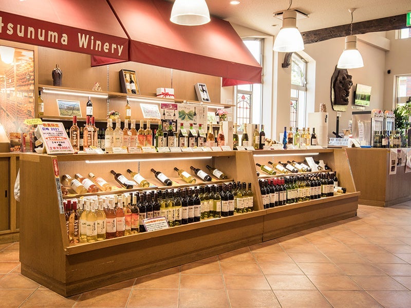 【新宿発】日帰りバスツアー🚌『8,000円台～ぶっとび格安✨』「シャインマスカット狩り💚」×「信玄餅詰め放題」×甲州料理＆スイス料理食べ放題🍳×ワイン🍷飲み比べ放題　盛り沢山山梨グルメ旅💚（ミニワインボトル付き♪）3