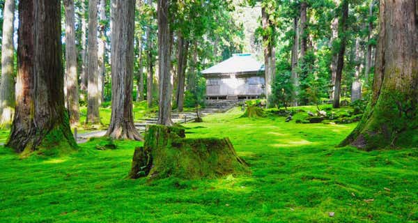 苔の絨毯！「平泉寺白山神社」・白川郷と名旅館・片山津温泉「佳水郷」2日間【藤井寺・五位堂・橿原神宮・大和八木発】1