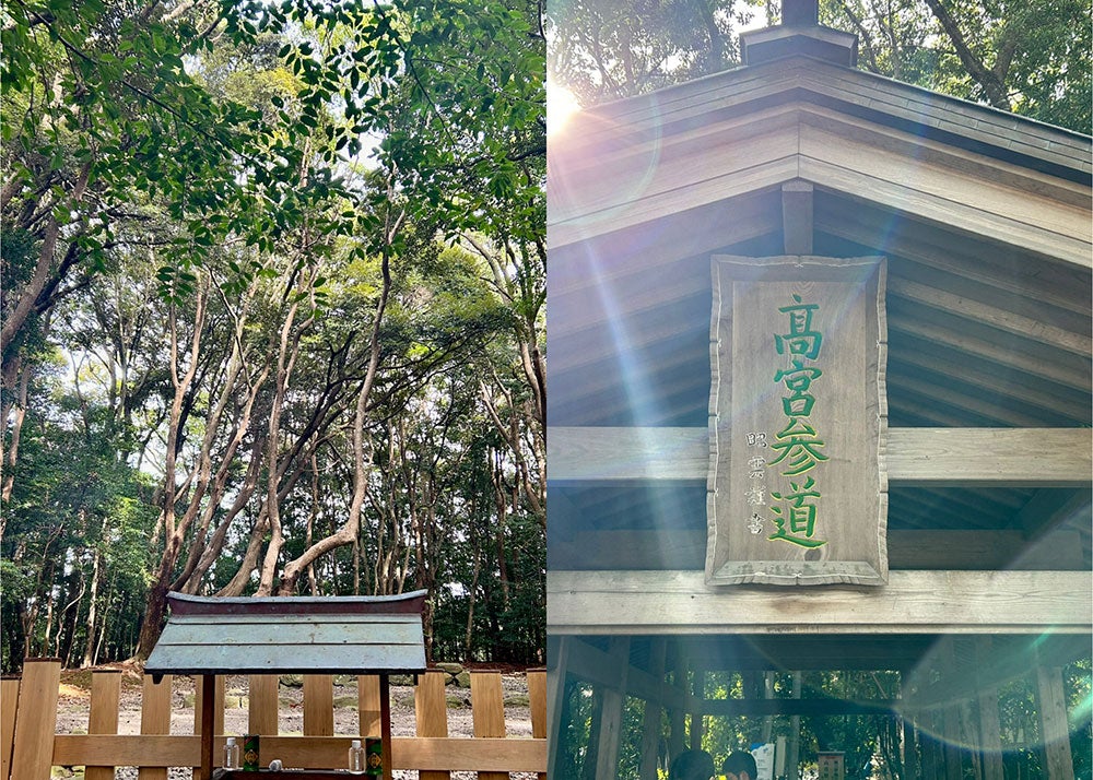 宗像大社・太宰府天満宮・筑前国一宮の筥崎宮と住吉神社・筑後国一宮の高良大社などの福岡十社巡り 1泊2日間2