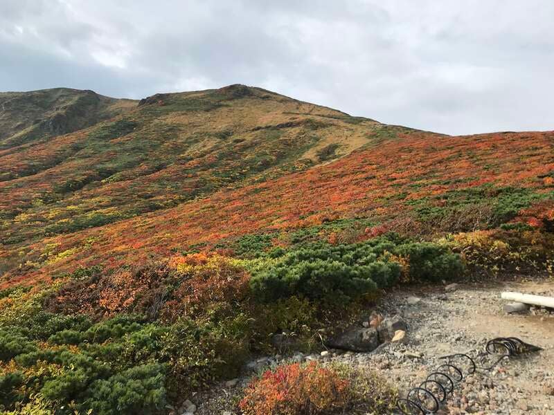 【広島空港発】 《登山》紅葉のじゅうたん！栗駒山登山２日間＊3
