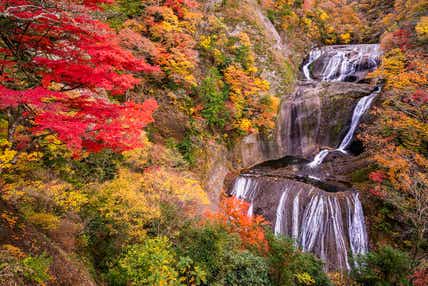 【品川駅・東京駅・上野駅発】 往復特急で行く！紅葉の袋田の滝＆竜神大吊橋＆月待の滝日帰り