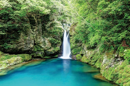 【バス1台につき18名様限定/長野】四国知る人ぞ知る7つの絶景 3つの秘境めぐり4日間1