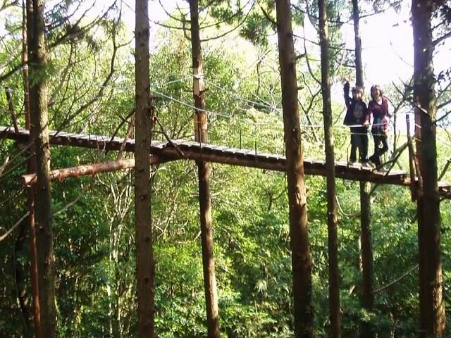 ■≪屋久島の森を鳥目線で楽しもう！キャノピーウォーク（滞在中1回）≫　往復航空機利用屋久島　3泊4日2