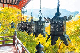紅葉の談山神社・長谷寺～紅・黄・緑の紅葉三色を楽しむ～2