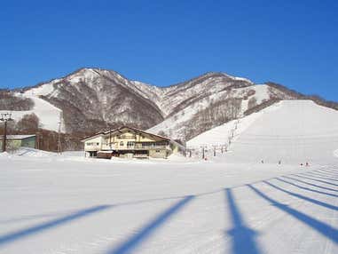 ■●夜発バス　栂池高原　日帰りプラン　リフト券＆レンタル付