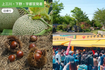 【上三川・下野・宇都宮発着】甘～いメロンと秋の栗を満喫　那珂湊で海の幸を買いつくす欲張り旅　