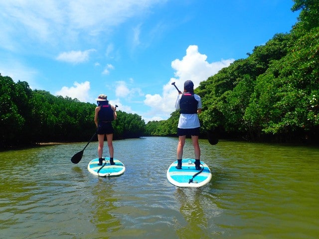■【初心者も楽しめるマングローブSUP付】国指定の天然記念物「宮良川のヒルギ林」でのSUP体験ツアー！マングローブ林に囲まれながら大自然を体感しよう！石垣島・竹富島・西表島ホテルチョイスプラン2泊3日2