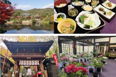 【広島駅新幹線口・アストラムライン古市駅発着／日帰り】お寺で精進料理 ～山口・龍蔵寺の寒牡丹と毛利博物館～