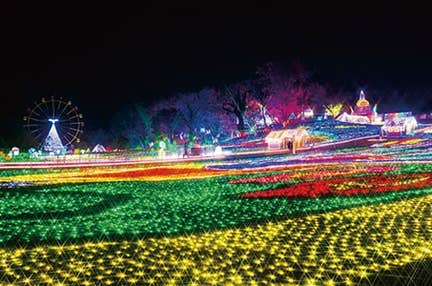 【往復新幹線/2日目昼食ビーフシチュープラン】藤の花・ネモフィラ・芝桜　花の桃源郷と世界遺産日光東照宮　3日間　名門ホテル御三家の一つ「ホテルニューオータニ（東京）」（2泊目）に泊まる