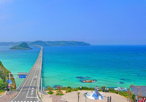 青海島るり色の遊覧クルーズと角島大橋と元乃隅神社と肉ありイカあり寿司ありの山海味覚ランチ2