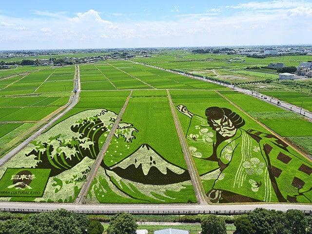 ■【埼玉】まるっと埼玉★豚のテーマパークサイボク名物「ゴールデンポークかつ」×超人気漫画コラボ！『世界最大級の田んぼアート』鑑賞！小江戸川越散策にオリオンツアー新登場！発酵のテーマパーク♪1