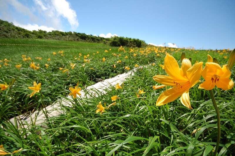 【群馬県内発】 月山八合目・鳥海山と日本三高湯・蔵王温泉2連泊　絶景スリーライン「鳥海ブルーライン・蔵王ハイライン・磐梯吾妻スカイライン」3日間1