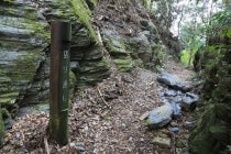 【西尾・岡崎発】＊日帰り軽食弁当付＊Ｌｅｔ’ｓハイキング！『≪ハイキングツアー≫ 熊野古道女鬼峠を歩こう』2