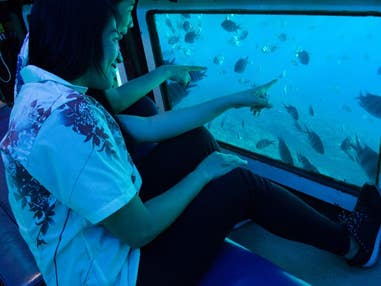 ■【那覇出港/水中観光船オルカ号乗船付き】手軽に海中遊覧を楽しもう！ホテルを自由自在に組み合せ！沖縄本島ちゃんぷるーチョイス4泊5日