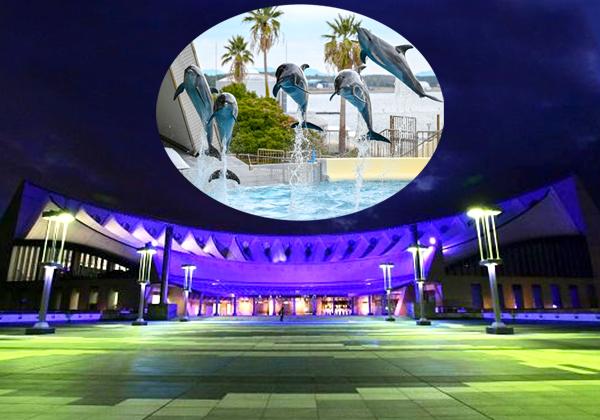 福岡オープントップバスで行く！「マリンワールド海の中道」★夜のすいぞくかん★と夕暮れ福岡都市高速2