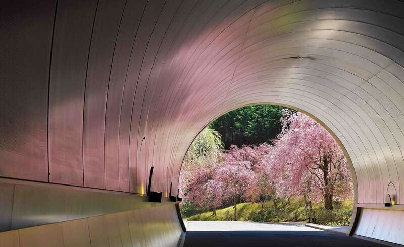 【兵庫県内発】 こんな旅してみたかった　春色感じる・・・おもてなしミステリーツアー　日帰り2