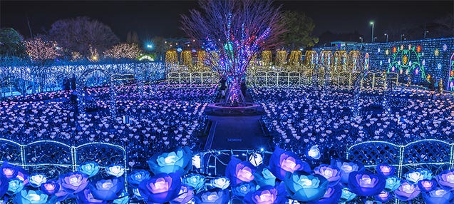 【全日程6,990円入園料込み!14時発で気軽に♪】日本三大イルミネーション「あしかがフラワーパーク 光の花の庭」約3時間満喫!直行バスで行く日帰り旅