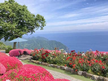 中部発　日帰り　展望リフト・クルーズ乗船・年縞ガイド見学付！三つの見方で学ぶ三方五湖！