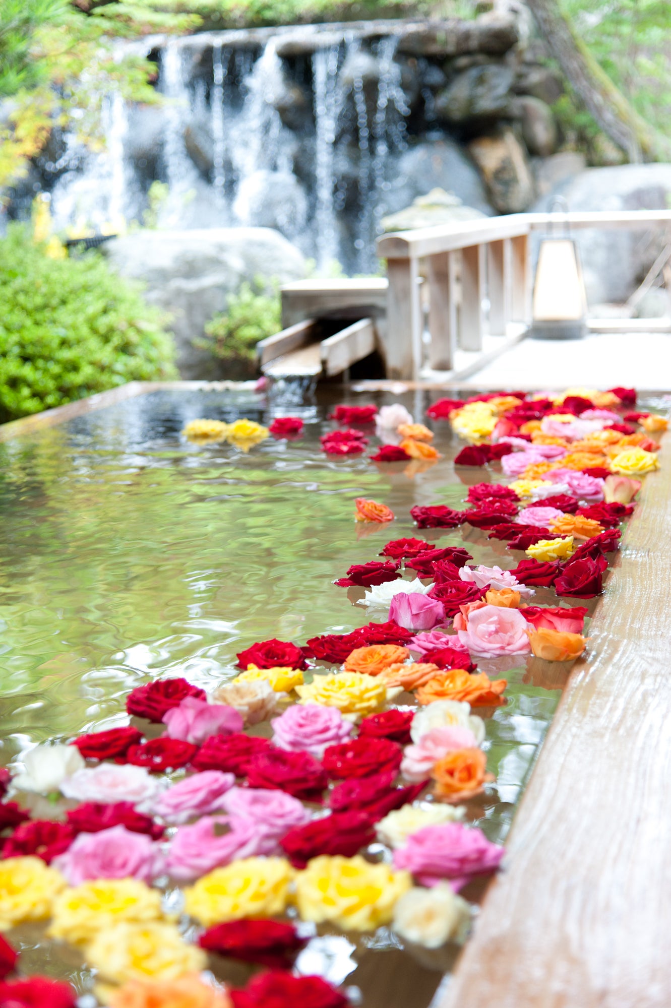 宿泊セットプラン🦀三朝温泉かにバス🦀三朝館【基本会席】2