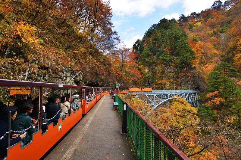 【ＪＲ和歌山駅発】 晩秋の絶景パノラマ！黒部峡谷トロッコ電車と信州りんご狩り・斑尾東急リゾートの休日 2日間2