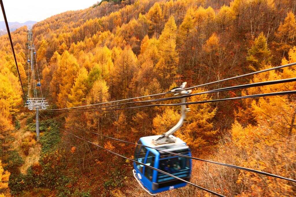 【山形県内発】 錦秋の苗場ドラゴンドラ絶景空中散歩・ 秘境の奥只見湖遊覧船と 苗場温泉（2日間）1
