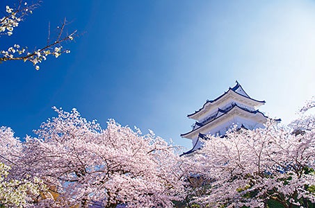 ＜福岡発/１名様一室利用＞日本100名城めぐり　関東　名城めぐり ４日間1