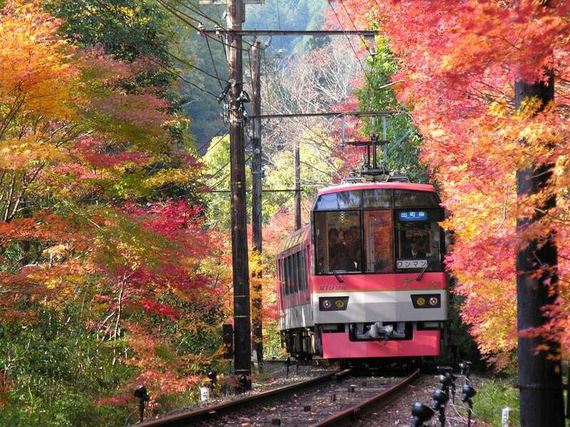 【富山・石川発】 【北陸新幹線利用】「もみじのトンネル」叡山電車で行く鞍馬寺 と 世界遺産「二条城」　秋の京都めぐり　日帰り1
