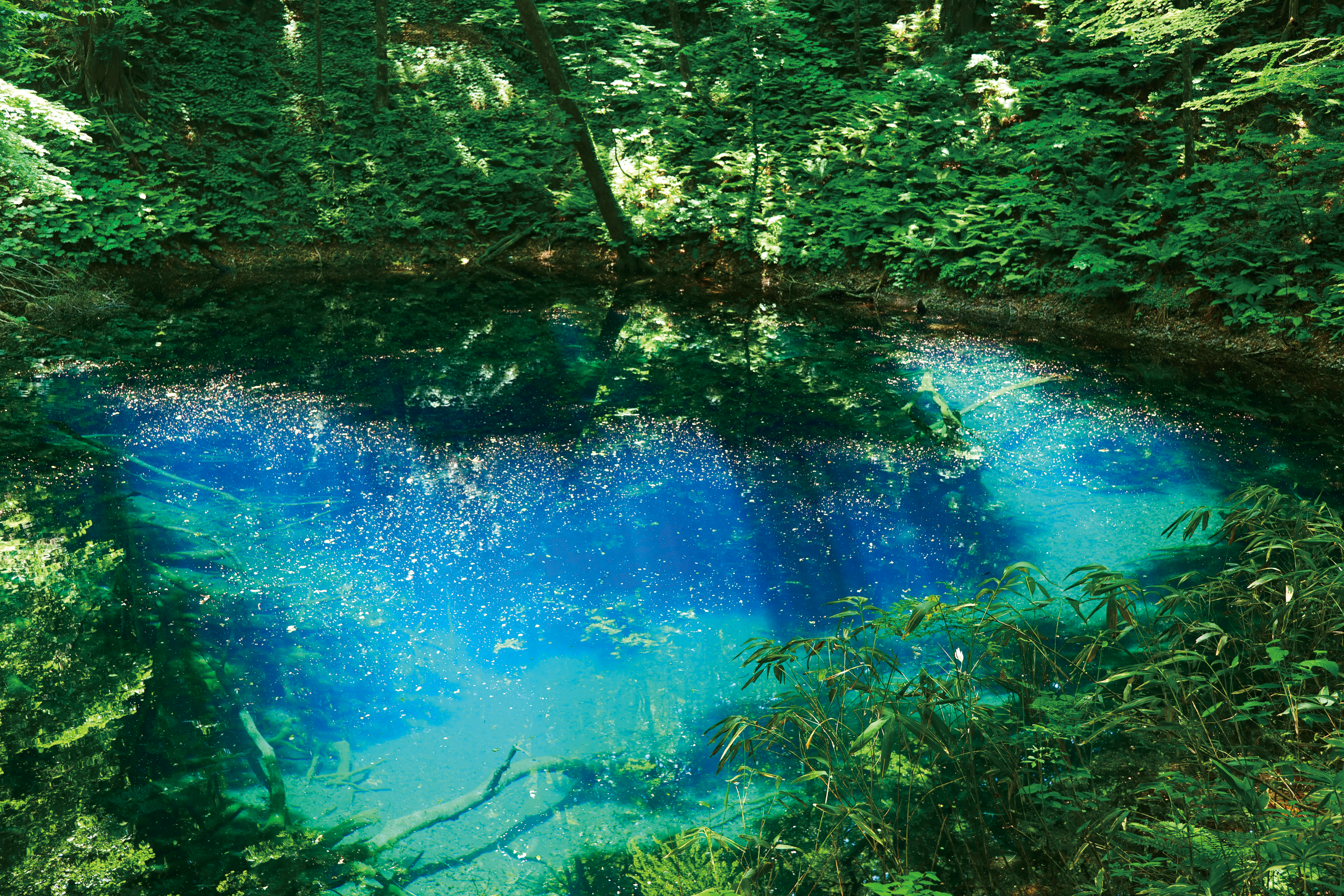 名湯乳頭温泉と絶景、東北の極彩色に包まれる旅　２泊３日2
