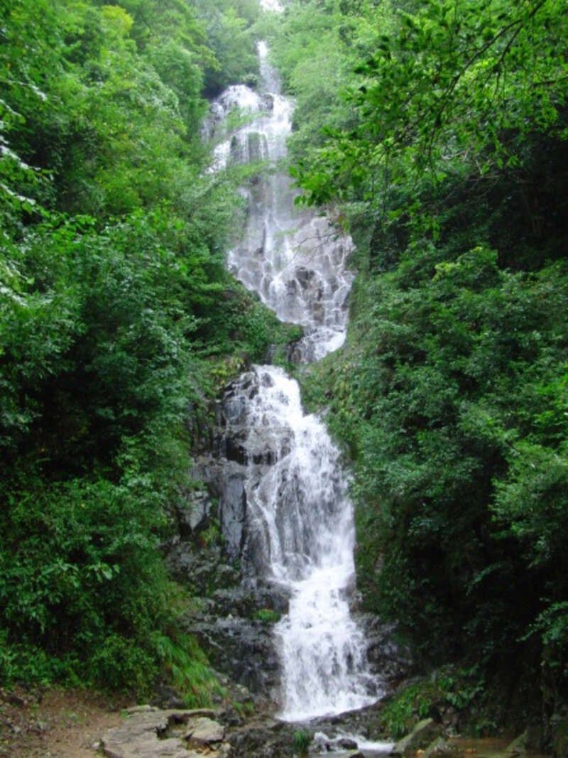 【呉庁舎発】果実の宝石さくらんぼ狩りと初夏を彩る約1万株のあじさい～芸備線ローカル列車の旅～　日帰り3