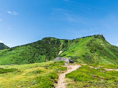 【名古屋発】■２０２６年７月１７日（金）■（相部屋）［中級］ぐんま県境稜線トレイル（浦倉山～毛無峠）　１泊２日　♪名鉄の泊りトレッキング