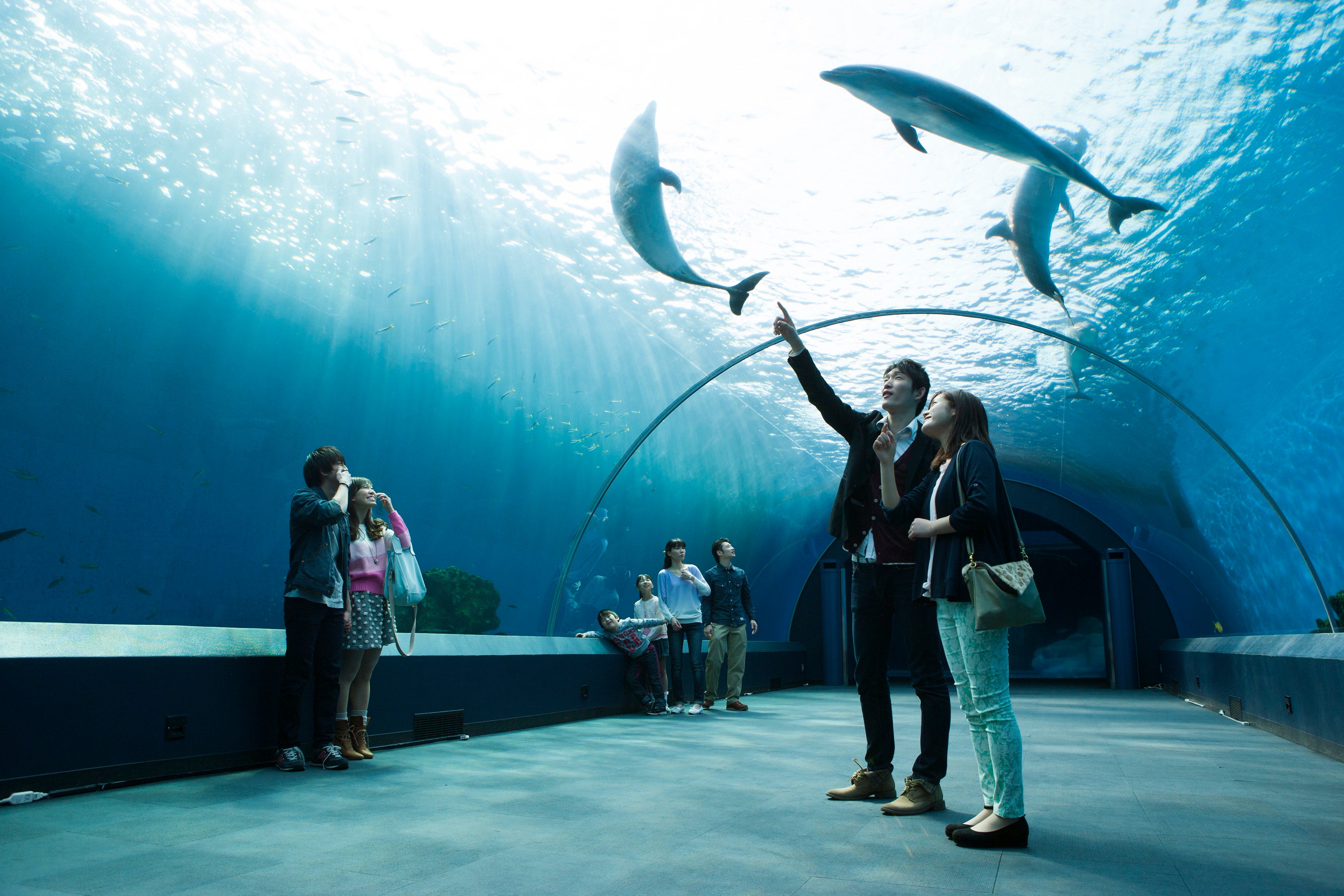 【千葉県内発】 夏休み「横浜・八景島シーパラダイス」花火シンフォニア　うれしい水族館4施設パス付 　日帰り1