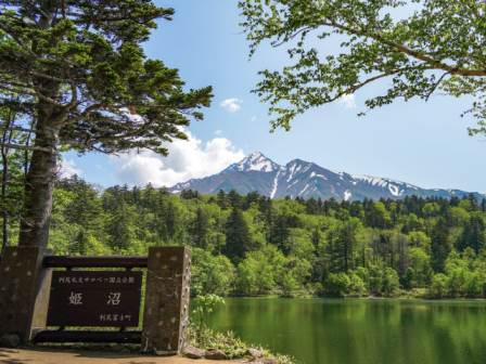 【早90】◆中部国際空港発着！◆【ジャンボマーチ・添乗員同行】稚内便で行く！夏の利尻島・礼文島・稚内さいはて離島の旅4日間【フェリー２等船室自由席プラン】【四季の花・風景】3