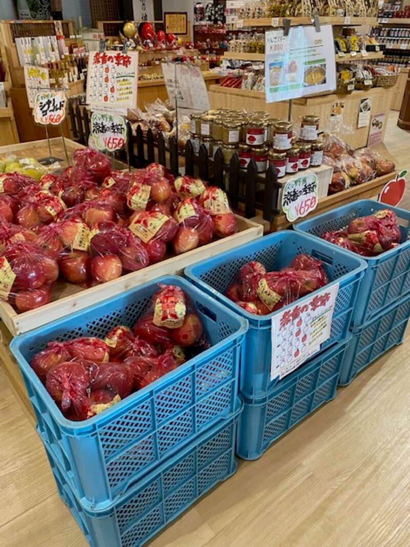 【福井メイン/北行ルート発】 飛騨の秋を味わう ご褒美収穫祭と下呂温泉さんぽ　日帰り1