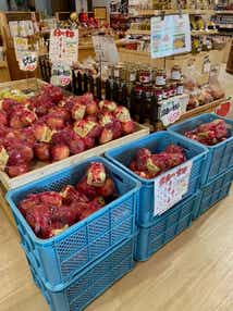 【福井メイン/北行ルート発】 飛騨の秋を味わう ご褒美収穫祭と下呂温泉さんぽ　日帰り