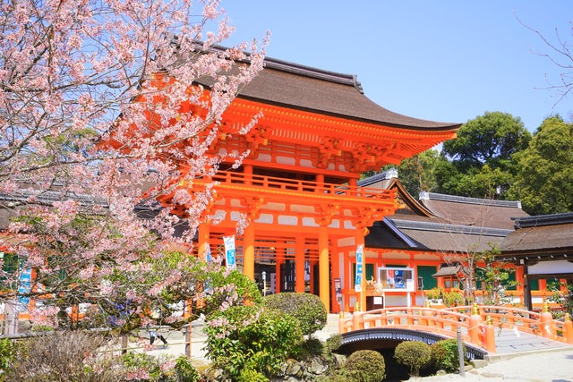 【高崎駅発】 世界遺産・吉野山千本桜と 古都京都7つの世界遺産さくら名所めぐり　3日間3