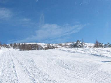 ■●夜発日帰り　菅平高原スノーリゾート（全山券リフト券付）